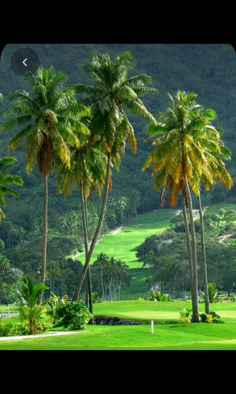 Screenshot_20200419-180847