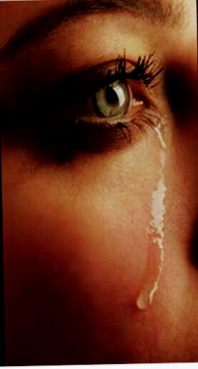 Screenshot_20200513-102803