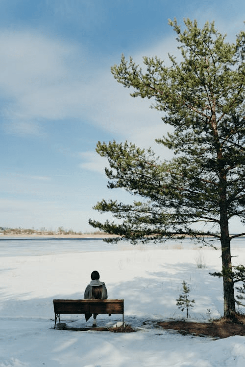 A person sitting alone on a bench by a snowy landscape, looking out towards a calm water body and surrounded by trees under a clear blue sky.