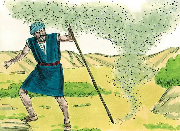 Moses brings a swam of locust upon Egypt