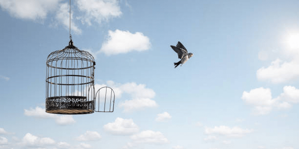 A bird flying away from an open cage against a bright blue sky with clouds.