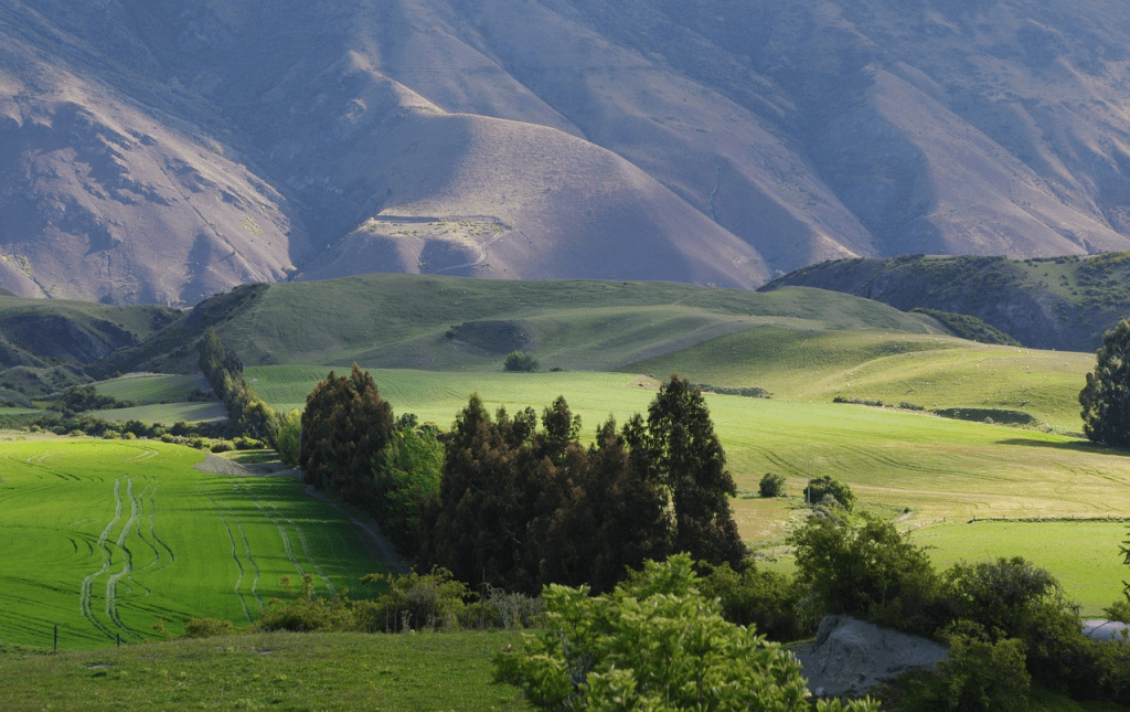 A serene landscape featuring rolling green hills, distant mountains, and a clear sky, illustrating a peaceful and idyllic natural setting.