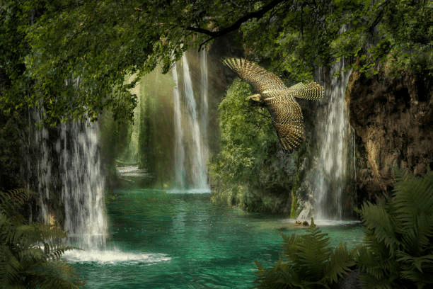 A serene landscape featuring a tranquil pool surrounded by lush greenery and cascading waterfalls, with a bird soaring gracefully above the water.