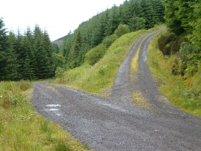 A gravel path leading to a fork in the road, surrounded by lush green trees and foliage, symbolizing decision-making and choices.
