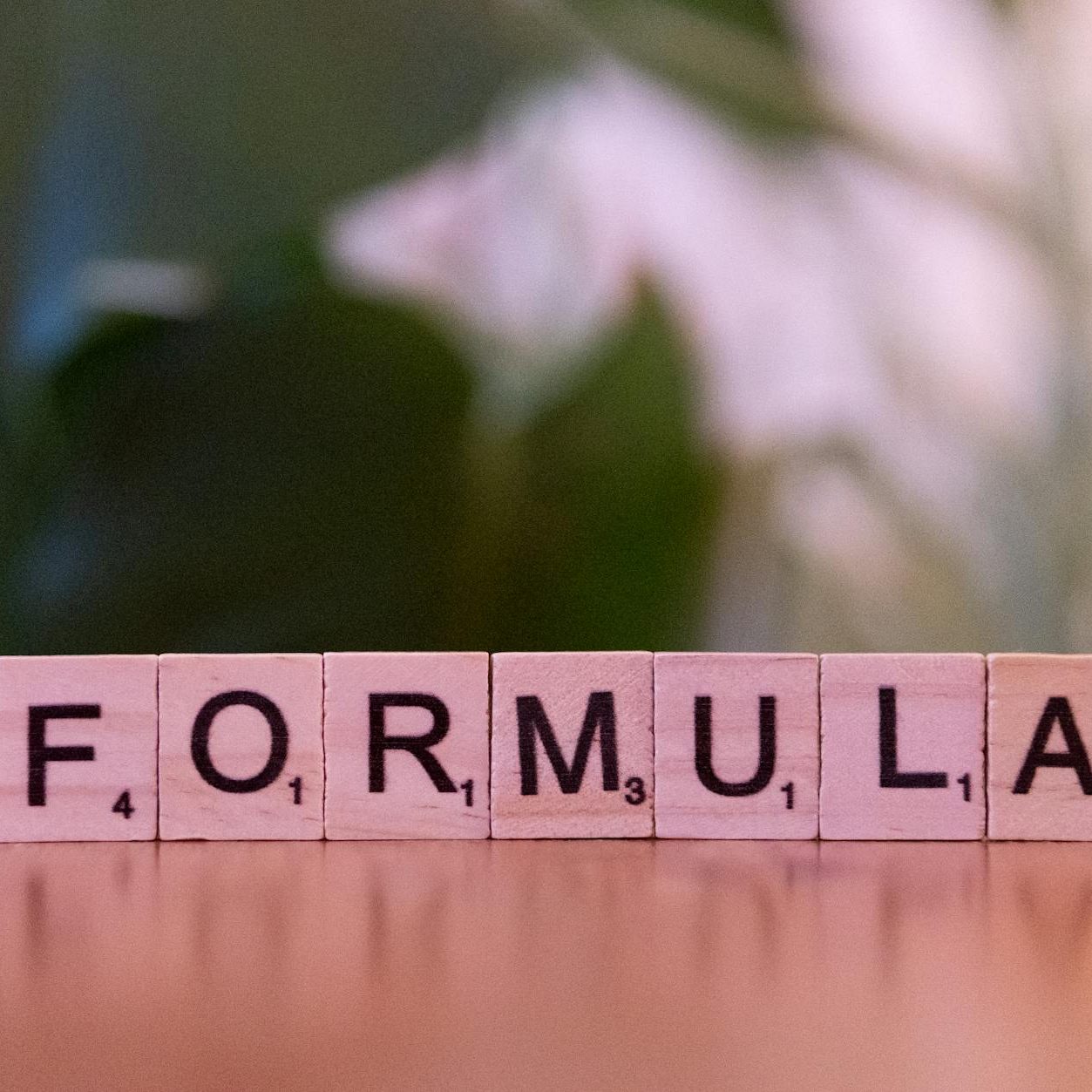 Wooden blocks spelling the word 'FORMULA' on a wooden surface with a blurred green background.