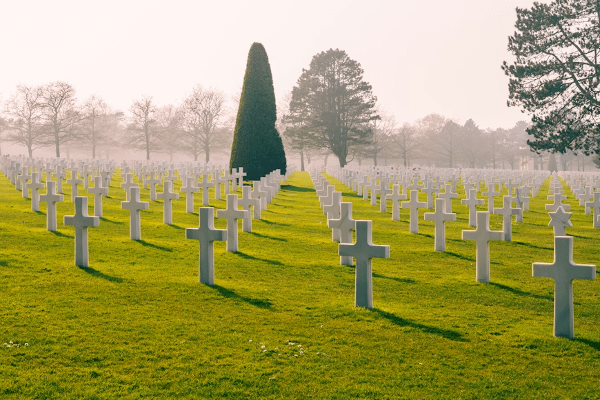 A serene cemetery scene featuring rows of white crosses set in lush green grass, with a prominent conifer tree in the background and a misty atmosphere.