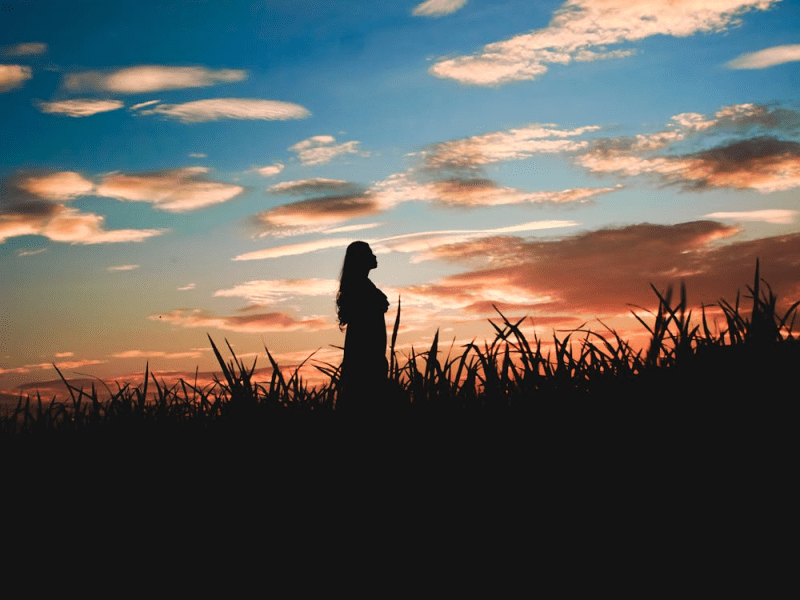 Go for Beauty; Don’t Let Them Lie to&nbsp;You!