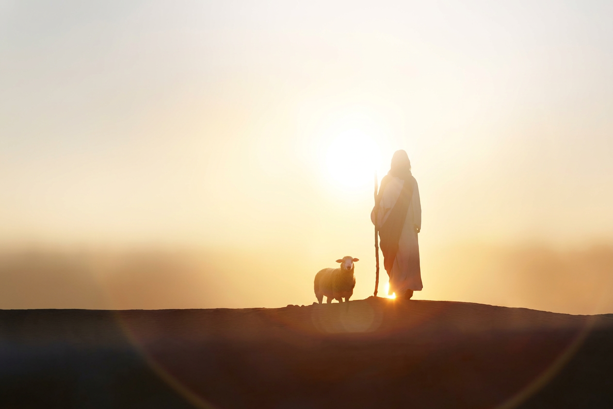 Shepherd with sheep at sunrise Silhouette of a person holding a staff standing beside a sheep on a hill at sunrise or sunset
