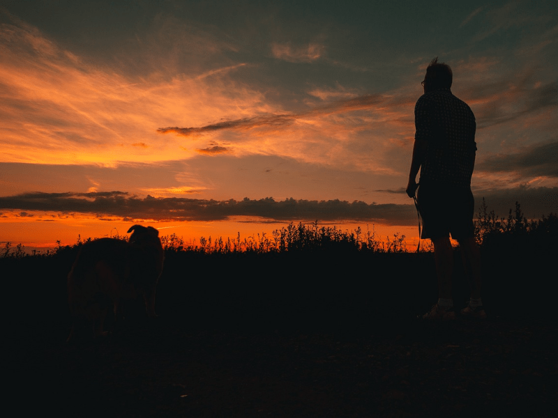 Stop Figuring It Out: Why God Wants to Direct Your&nbsp;Steps